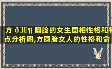 方 🐶 圆脸的女生面相性格和特点分析图,方圆脸女人的性格和命运